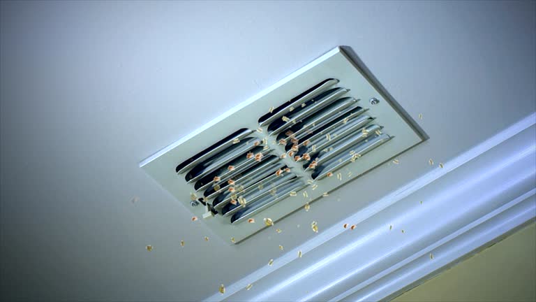 Reliable Reidsville, NC Airduct Cleaning Solutions