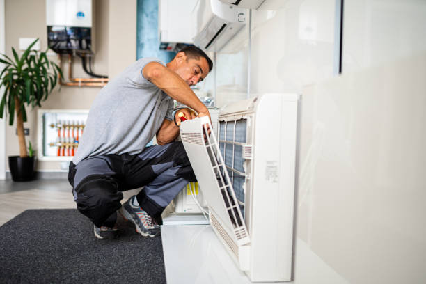 Best Air Duct Mold Removal  in Reidsville, NC